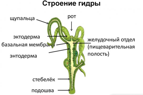 Кракен площадка даркнет