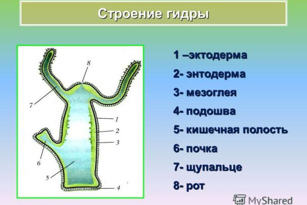 Kit kraken официальный сайт